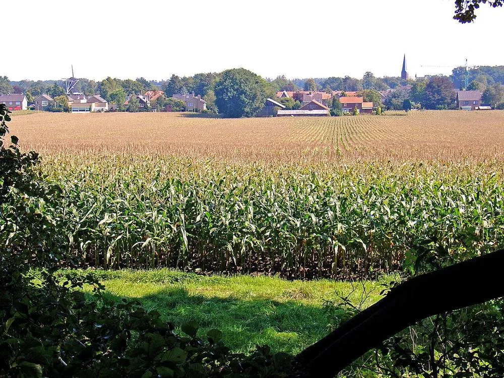 Hellendoorn: Hellendoorn